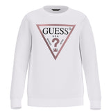 GUESS J74Q10KAUG0G011